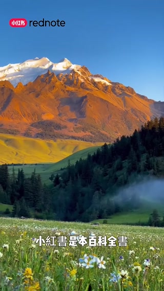 Creative: d7082c6ea2cb3b4d6cc6f7d2d46ef11d