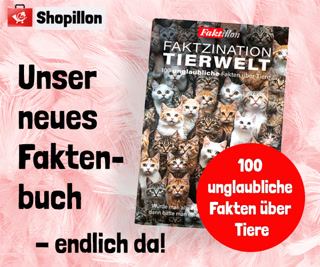 Creative: d7576f496f9f0d45a5b62bffbbdcc321