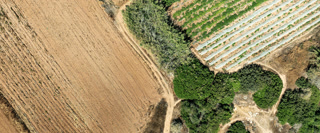 Creative: d7dd8efc70f69417cef06e10e103b6f5