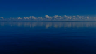 Creative: d8b3b1d3a737c5417a95fdaf09fe3df3