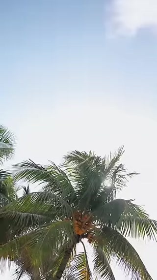 Creative: d927a77ccbd5765b1b9ffaf7238cc32b