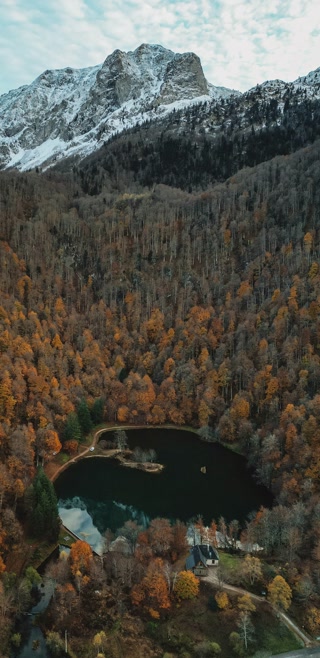 Creative: da62a4daab4452d6f0fa96a2cd62cbb3