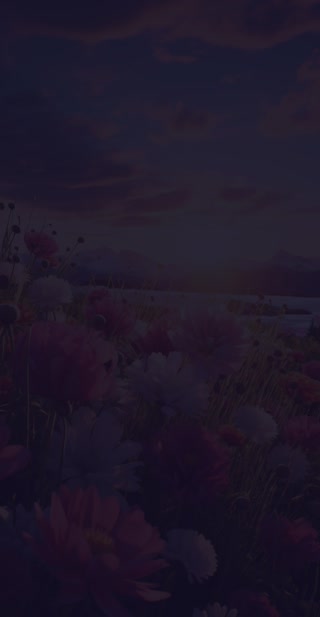 dbd363cd7a19f1ad5374e73ce9a8fa8a