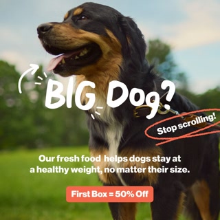 Creative: ddb43e0b791a0e4e249c38ad404e3a43