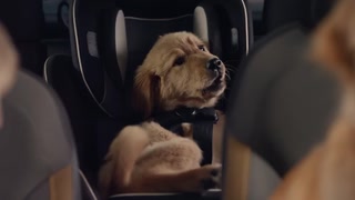 Creative: df9481c932cf1267f0a49a22c4be8ab0