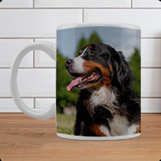 Creative: e04c1c7705c70dfa863e5bc4df4c3e8a