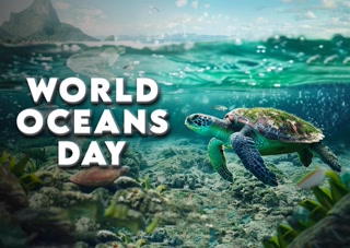 Creative: e1090f0b2b08cfc57b293e63c1359e62