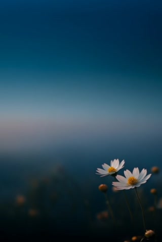 e1c536638a934d1e9c7a6ed0c111d681