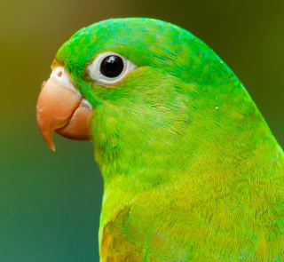 e20993a10be66b9e18693535a47ba372