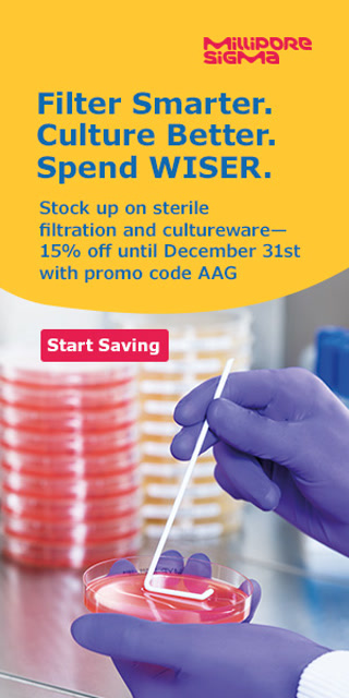 Creative: e38af2b1d4a37c958842c9c72212a480