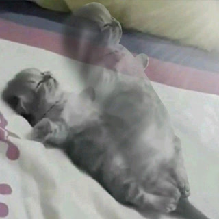 Creative: e67fcae0f57d6de4b3a7122e485c5697