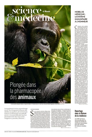 Creative: e6811380e0e1644c8ecff96465c5841c