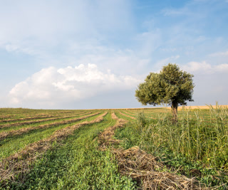 Creative: e7510e5e2d611b5cb3491511e1136ec2