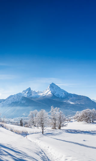 Creative: e76fc46c486f36ba26eb2a0253cd03d8