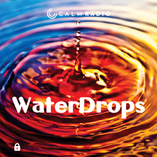 Creative: e8f7d79a0304f2f277f87c50c9591212