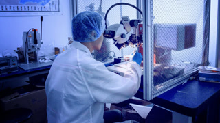 Creative: ea7d85e7913aaed73b0f8e3e5eac8e3d