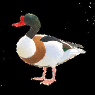 eb06905f81e7c2e41004d8fe7b3b80fa