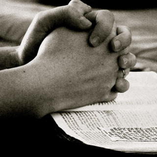 ec6e39821d3d0de00b998cb5312e846a