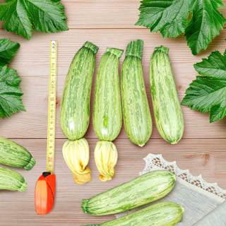 Creative: ed18d0a5268e197122335830ba9dbb35