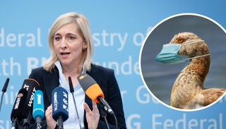 Creative: ed3f86cbc3f6e63c0fd033ed75cd5332