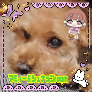 Creative: ed9b1f1dd1601cc84774d477c118d974