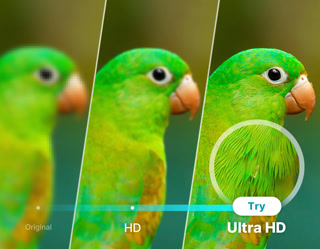 edbc929c3f08145356eeb054cbdbf14a