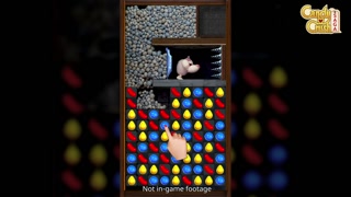 Creative thumbnail for ee4b23197dddfd4a092fcd64d63a8555