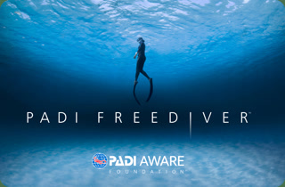 eea0fdb7fd6ad209a0e219ad825caa51