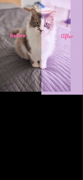 ef75f88b6eb145eb378fbd2e19a8474b