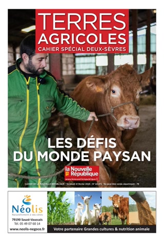 Creative: efe0f51d4bdcb41271fc8154343649e9