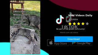 Creative: f0ab1cfeb47c4f80a1befe0a17e4c428