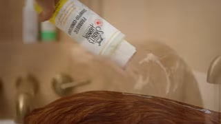 Creative: f152c66a59204b69df6855901af59cbb