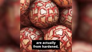 Creative: f1f74abb35da1c231decd733ea7cfcdc