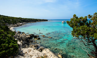 Creative: f2646bc7e3b7a02af0bb43aad9adb196