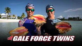 Creative: f2f4925a3e362add23ac08d869158ea8