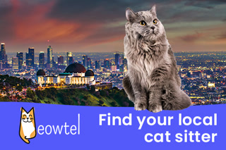 Creative: f33007b92f1a49a8aabc793c6a741e70