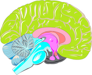 Creative: f3ad0c951184bf71fe8369a06b5b7436