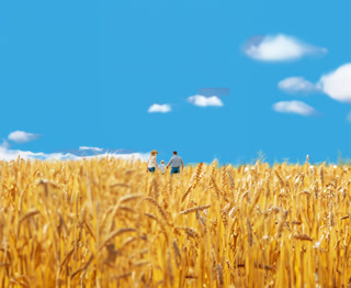 Creative: f447a272b6e54fe0b73668199fe1a3d7