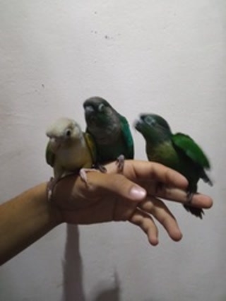 Creative: f471c744fc4e814fb1a538bc498ecf57