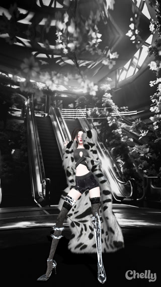 Creative: f5cff6b2101031a2d10a21511ec6e1f9