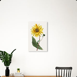 Creative: f79b51d9827bce2c97db2b7af0b5add0