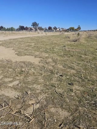 Creative: f82e3cdc026bcc9d6f5a3637281631b1