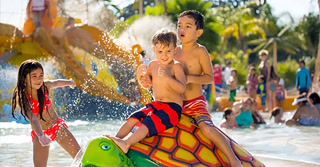 Creative: f8bf05811509824a0822bce272d7ef14