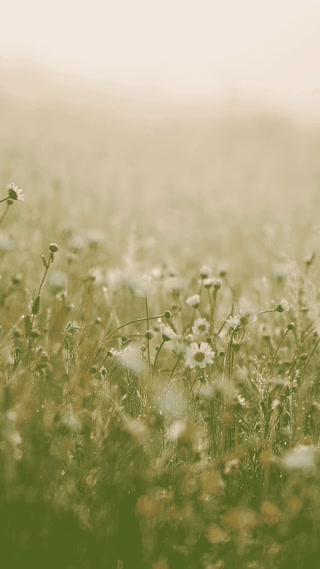 f91ba9626a1cab5feb0f610672a045fa