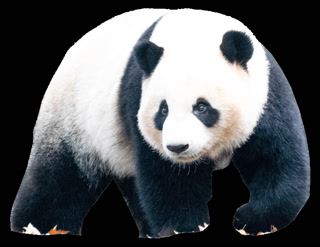 f9d84fb16e088ba127d4e8b847a1eafd