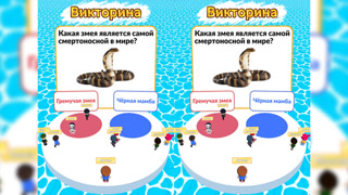 Creative: fa82a8822325cdf55ba90b973f53cc0f