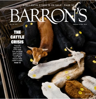 Creative: fad17a5b3e70b900878c0abe6355ff91