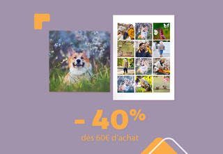 fb1d1b04a19929805bcff46e573744df