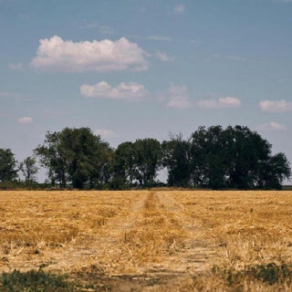 Creative: fb810c0fc20efa3017a7678475147600