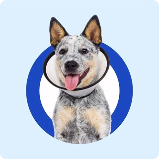 Creative: fbc649e0d429062f572e3270abdc4340